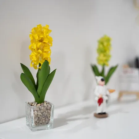 Angolo Bellini By Dimorra Apartment Naples
